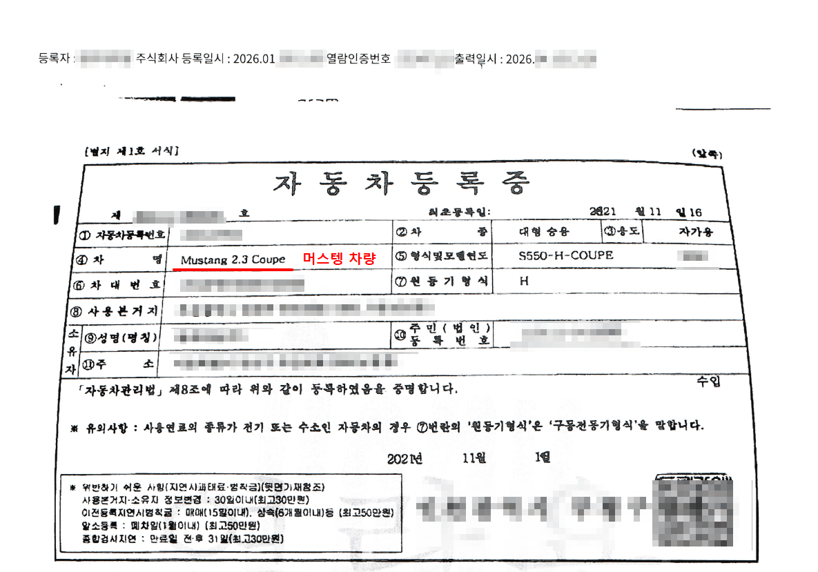 자동차등록증 발췌. 차명과 등록일시가 적혀 있고 차량번호·성명·주소는 가려져 있다.