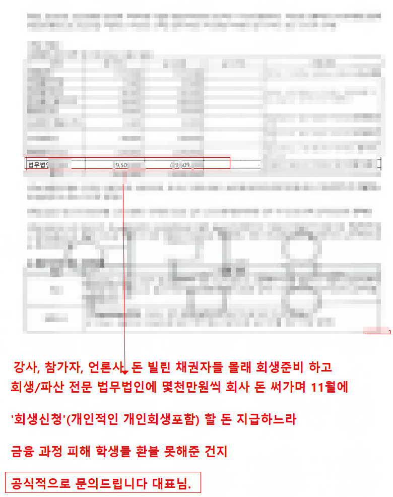 법률비용 지급 내역 발췌. 항목과 금액이 표로 적혀 있고 법인명·성명은 가려져 있다.